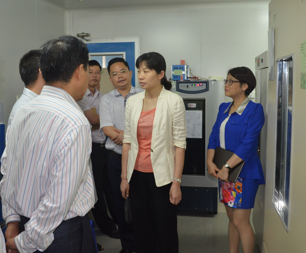 ɽˎO(jin)I(lng)(do){(dio)